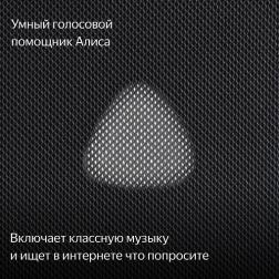 Умная колонка Яндекс Станция Макс с Алисой, с Zigbee, черный, 65Вт (YNDX-00052K)