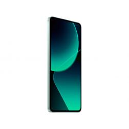 Xiaomi 13T Pro 16/1024Gb Meadow Green